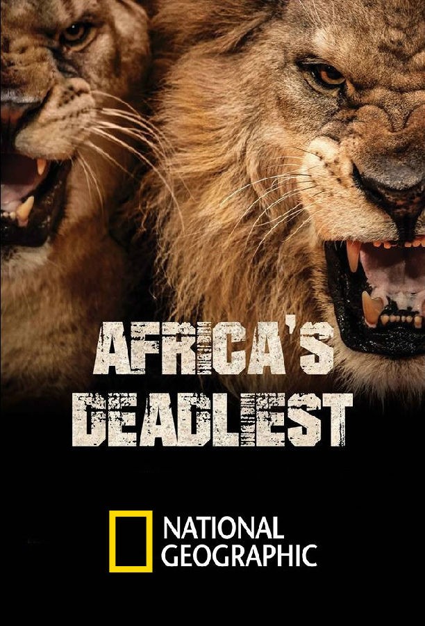 [非洲致命动物 Africas Deadliest 第一至四季][全04季][英语中字]