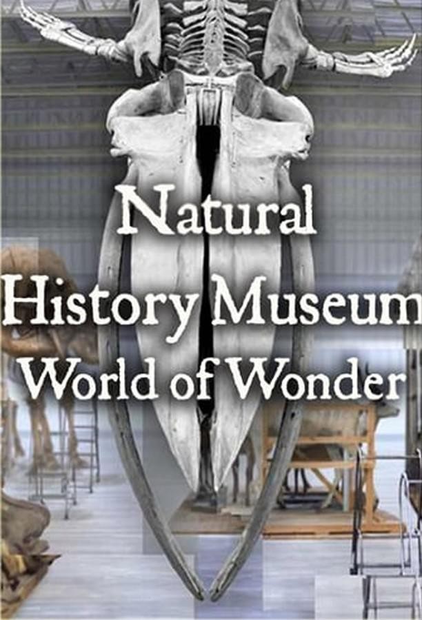 [英国自然历史博物馆：神奇世界 Natural History Museum 第一季]...