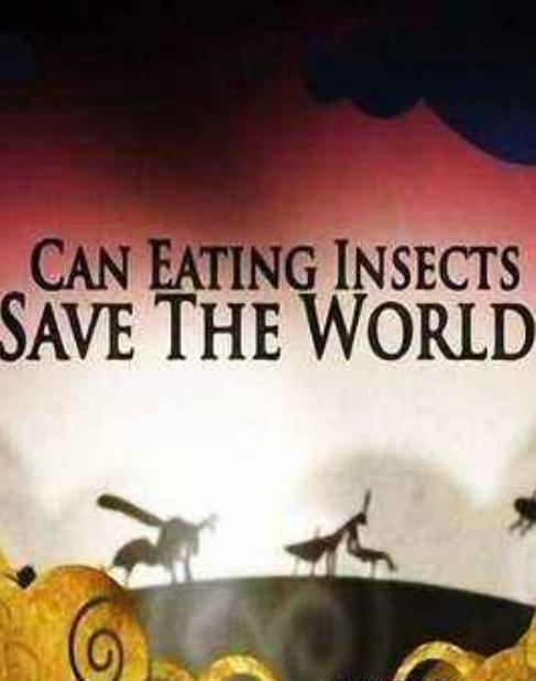 [吃昆虫能拯救世界吗？] [中文字幕][1080P]