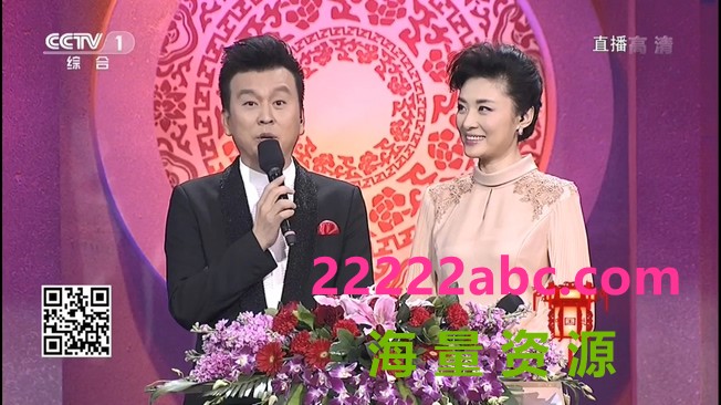 [2015][内地]《CCTV2015中国谜语大会第二季》 3期全[HD_8.5G]|综艺节目|下载|
