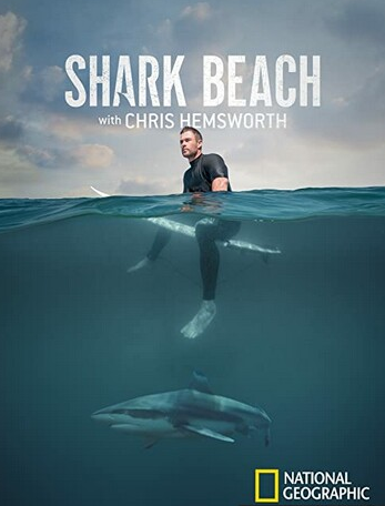 2021纪录片《鲨鱼海滩》1080p.BD中字