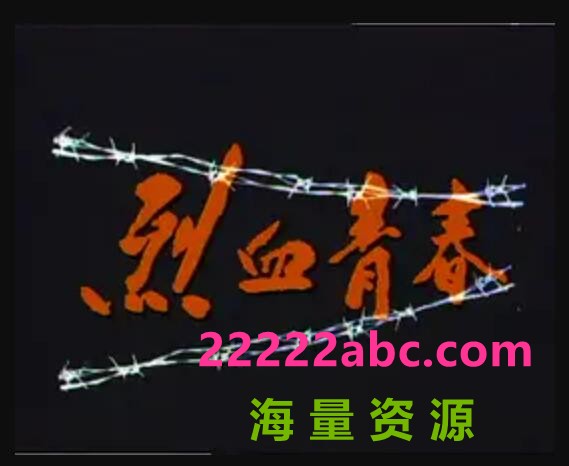 烈血青春1991国语25集全（陈丽贞 陈之财）7.19g 
