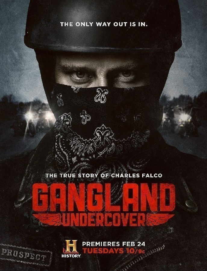 [卧底黑帮 Gangland Undercover 第二季][全08集]