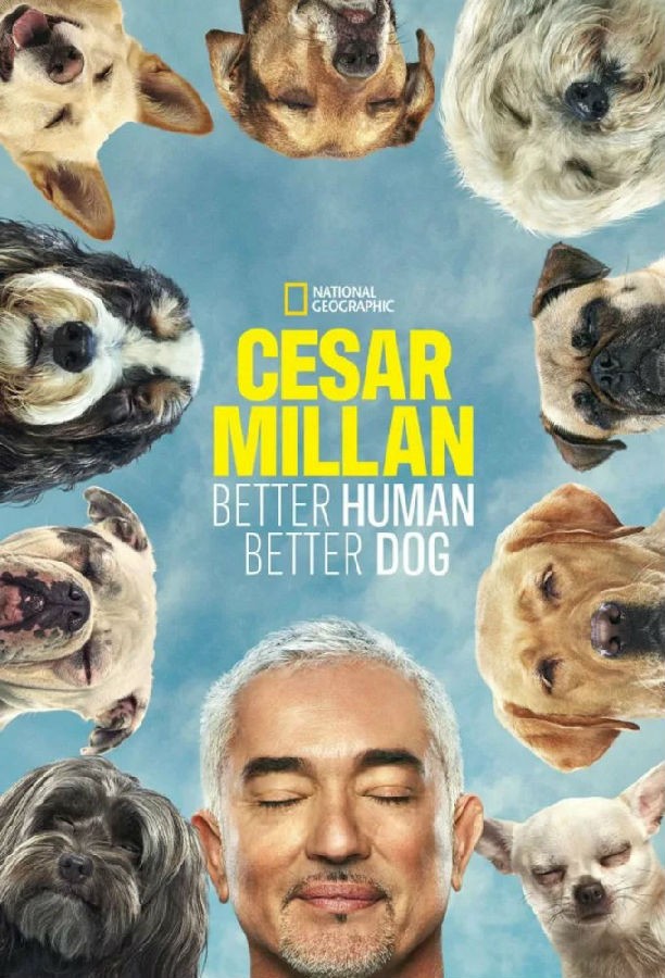 [Cesar Millan: Better Human Better Dog 第一季][全集]