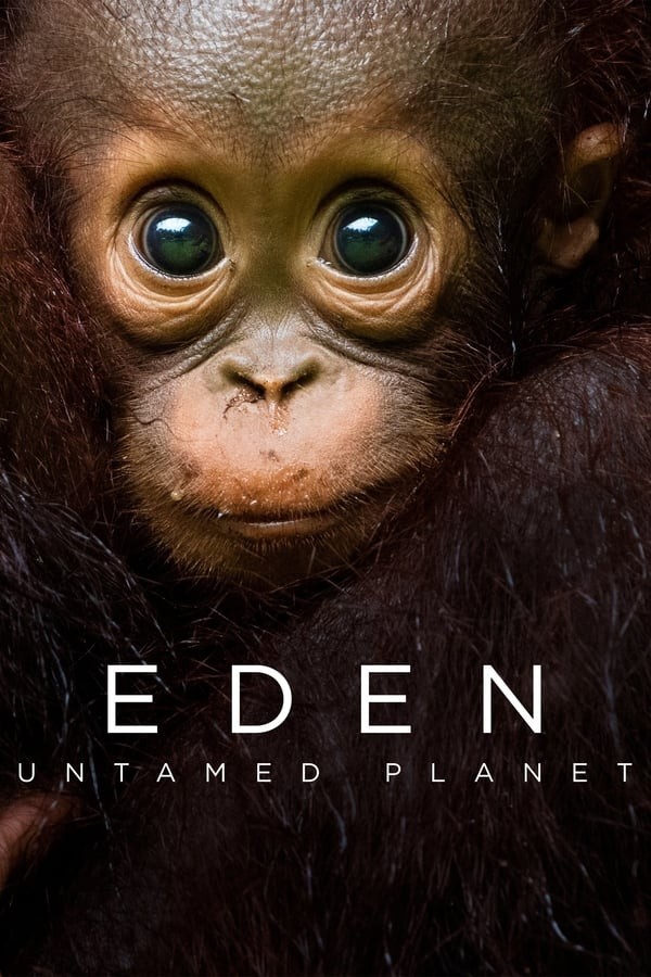 [伊甸园：最后的秘境 Eden: Untamed Planet 第一季][全6集]