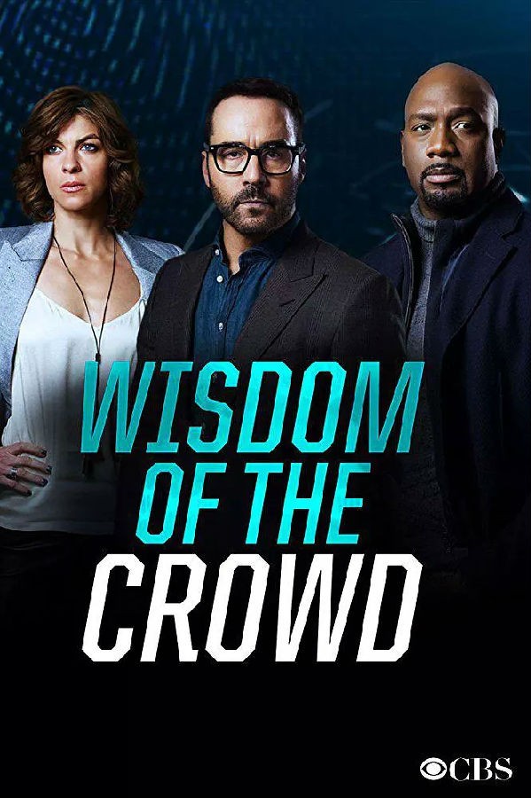 [群策群力 Wisdom of the Crowd 第一季][全13集]