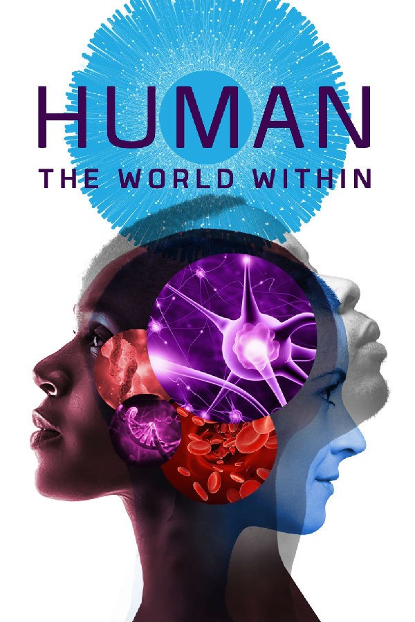 [人类：体内的世界 Human: The World Within][全06集][英语中字]